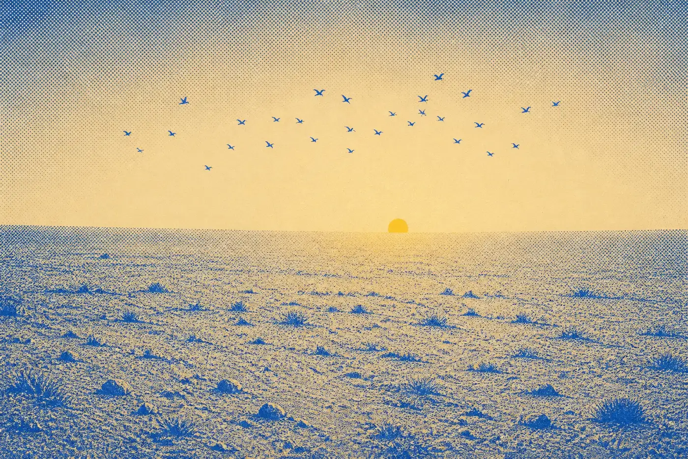 A wide empty plain of unharvested ground under a mostly open sky, a loose scatter of small birds crossing it, with no barn, granary or storehouse anywhere in view.