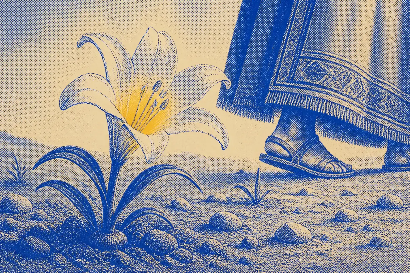 A single wild lily growing from stony soil fills the frame, with a king's heavy embroidered robe hem and sandalled foot passing behind it, much smaller.