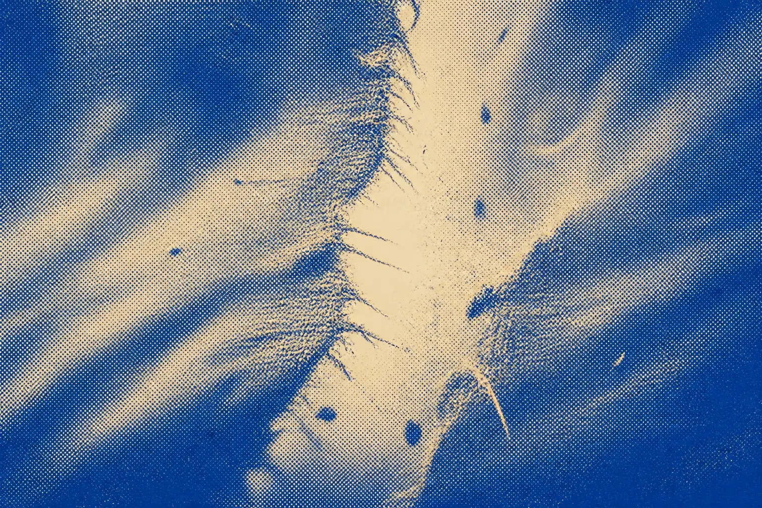 Woven fabric torn from top to bottom, threads snapping and fibre lifting from the break.