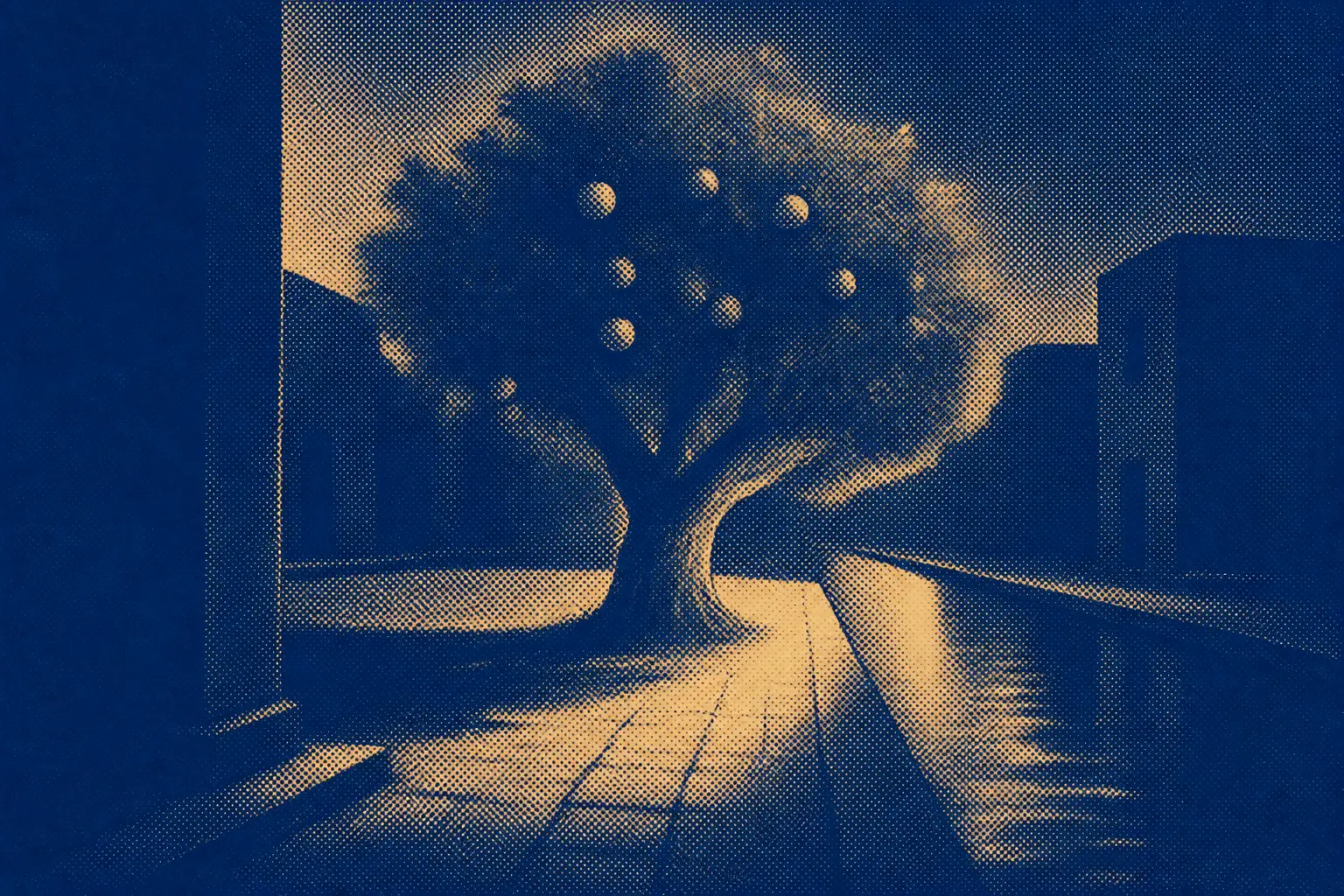 A tree growing in the middle of an open street beside still water, unguarded.