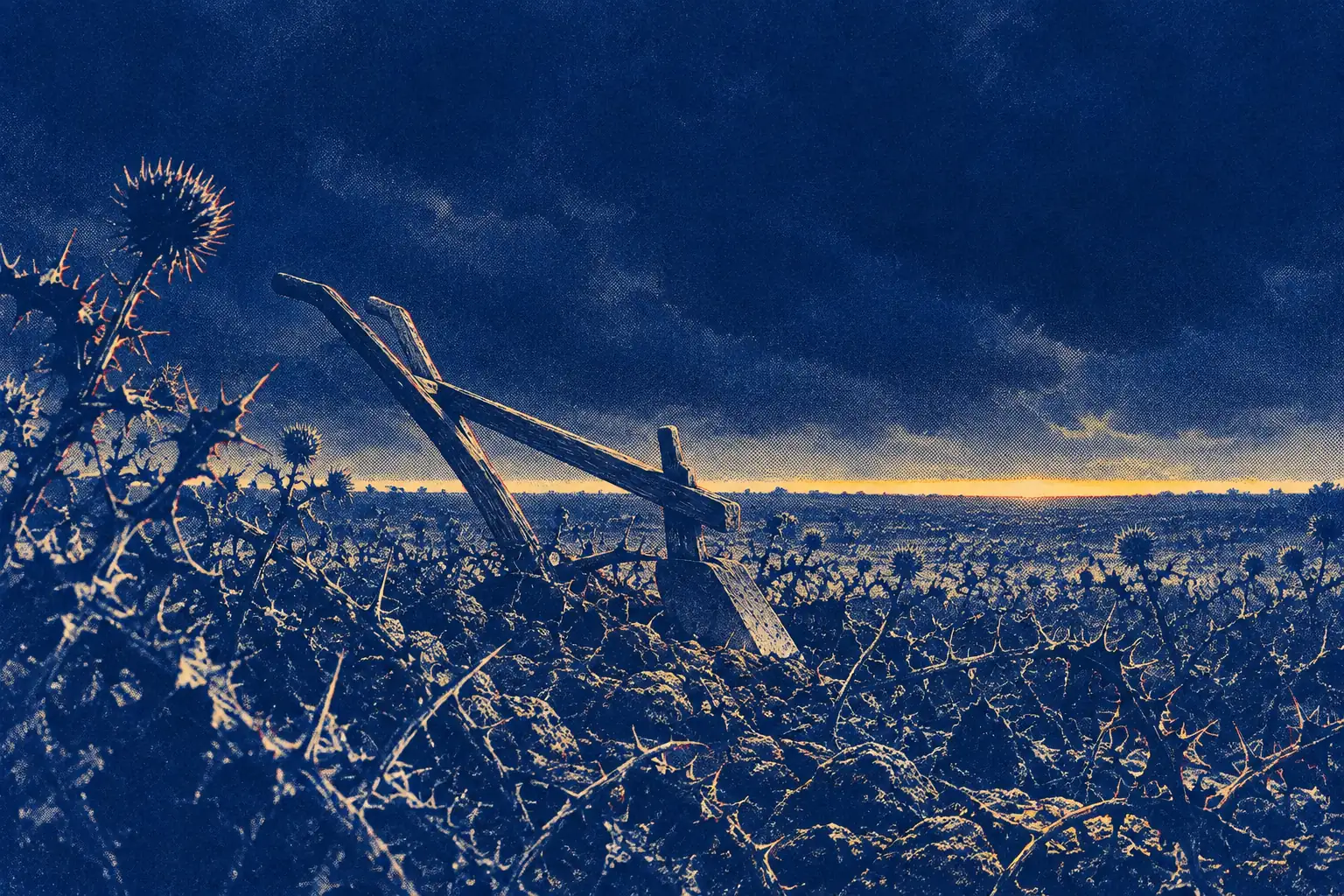 A wide field of thorns and thistles under a heavy dark sky, seen from low down among the stalks. In the middle distance a simple wooden plough stands abandoned, its blade caught in the tangled ground, and a thin line of hard gold light burns along the horizon.