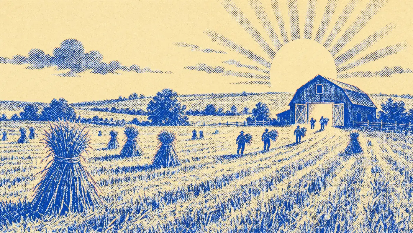 Bound sheaves standing together in a harvested field at sunrise, with a low barn behind them.