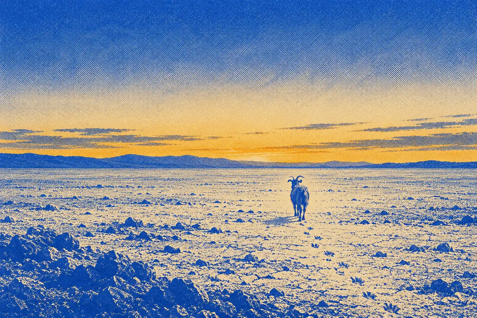A single goat, seen from behind, stands alone on a pale, stony plain under an orange and blue sky. There is no road, no tent and no other creature.