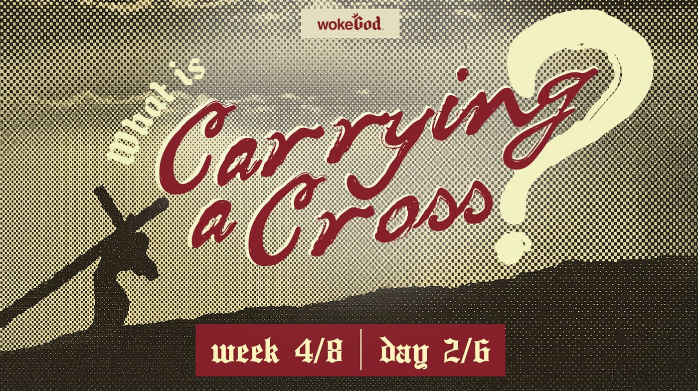 Original cover image: The Cross Connection